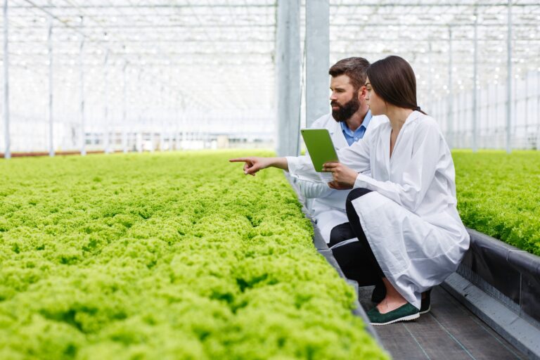 two researches man and woman examine greenery with a tablet in a